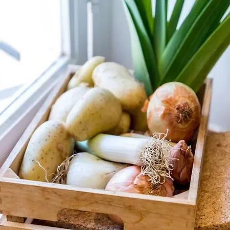 Ciel D'azur * Roquebrune-Cap-Martin